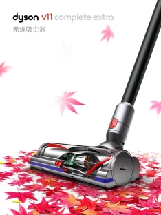 戴森微信小程序上線一周年，讓“不可復(fù)制”深入人心