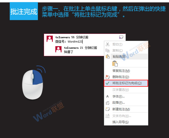 word批注 批注相關事宜：易雪龍玩Word第八招