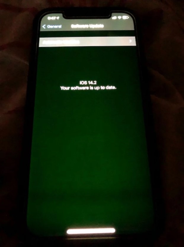 蘋果承認(rèn) iPhone 12 系列部分機(jī)型存 “綠屏”等問題，正進(jìn)行調(diào)查