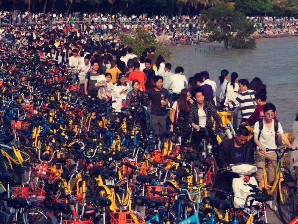 以人民的名義：共享單車不能垮
