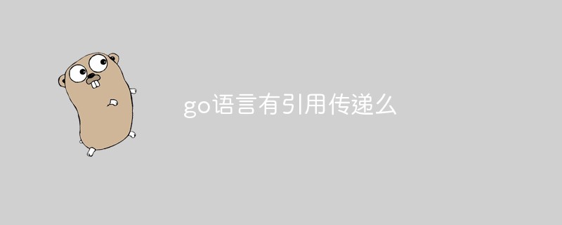 go語(yǔ)言有引用傳遞么