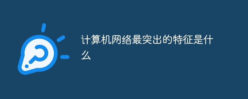 計(jì)算機(jī)網(wǎng)絡(luò)最突出的特征是什么