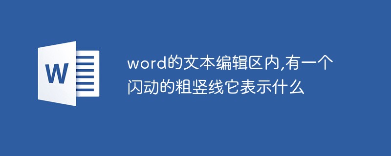 word的文本編輯區(qū)內(nèi),有一個(gè)閃動(dòng)的粗豎線它表示什么