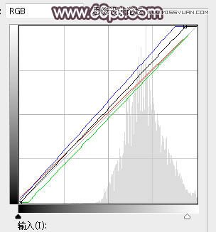 PS調(diào)出外景人像甜美逆光藝術效果
