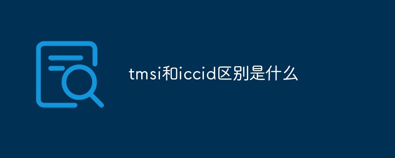 tmsi和iccid區(qū)別是什么