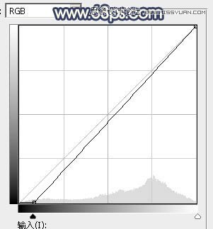 ps給外景人像添加金黃色夕陽(yáng)效果