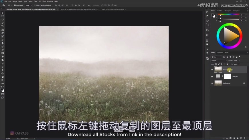 PS創(chuàng)意合成森林中的新娘和鳥(niǎo)籠