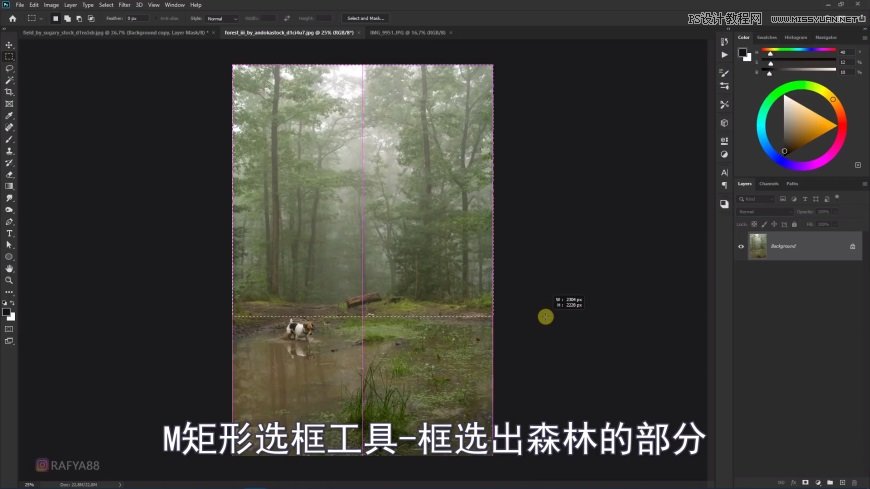 PS創(chuàng)意合成森林中的新娘和鳥(niǎo)籠