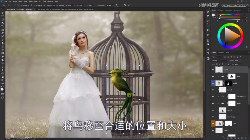 PS創(chuàng)意合成森林中的新娘和鳥(niǎo)籠