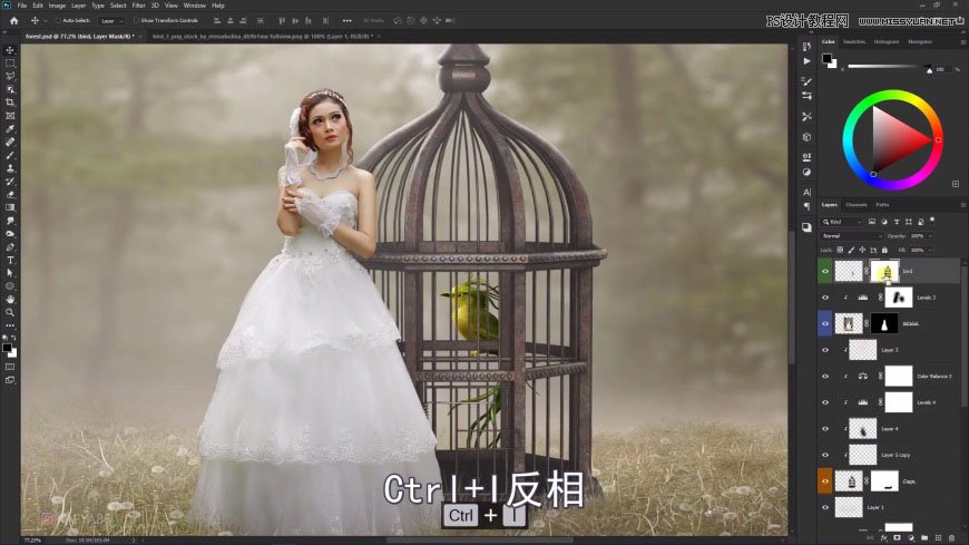 PS創(chuàng)意合成森林中的新娘和鳥(niǎo)籠