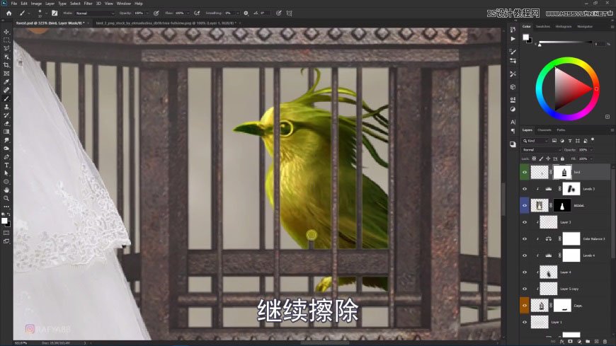 PS創(chuàng)意合成森林中的新娘和鳥(niǎo)籠