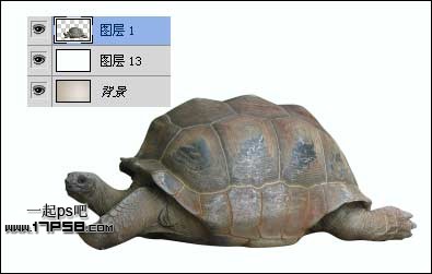 PS打造公益性質(zhì)的生態(tài)保護(hù)海報
