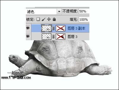 PS打造公益性質(zhì)的生態(tài)保護(hù)海報