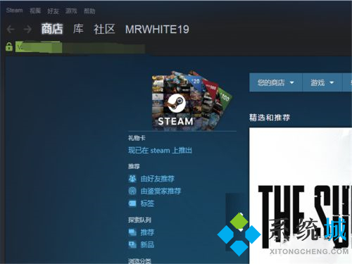steam個(gè)人資料打不開(kāi)怎么辦 steam錯(cuò)誤代碼118解決方法介紹