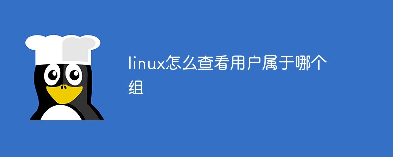 linux怎么查看用戶屬于哪個(gè)組