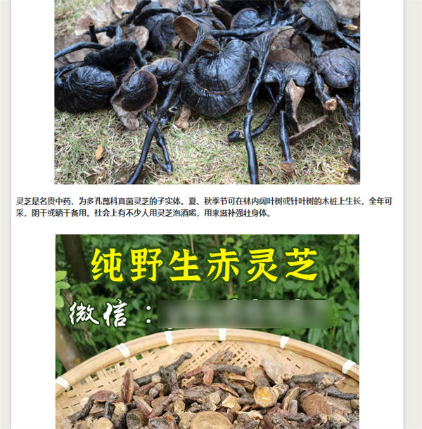 做網(wǎng)站，還是大有可為！