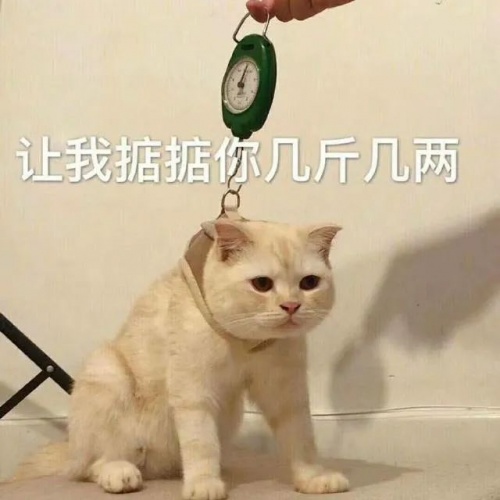 【實驗室】安卓與iOS性能全方位PK，能打得過嗎？