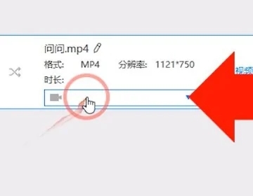 swf怎么轉(zhuǎn)換成mp4格式 swf轉(zhuǎn)換成mp4格式的免費方法