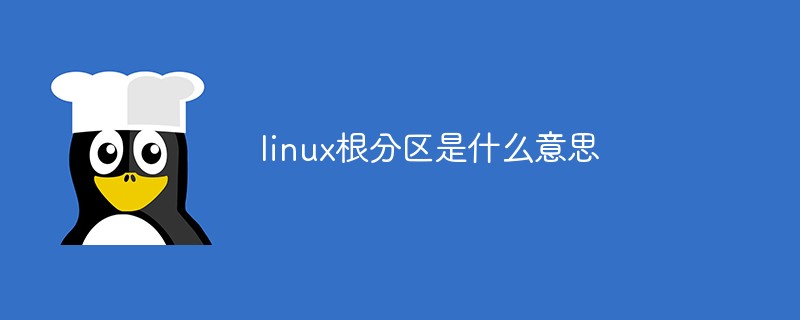 linux根分區(qū)是什么意思