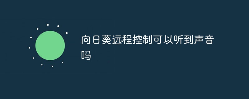 向日葵遠(yuǎn)程控制可以聽到聲音嗎