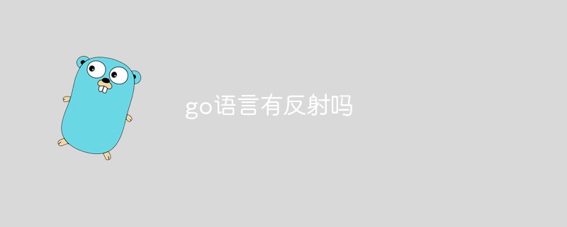 go語(yǔ)言有反射嗎