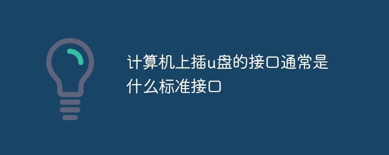 計(jì)算機(jī)上插u盤(pán)的接口通常是什么標(biāo)準(zhǔn)接口