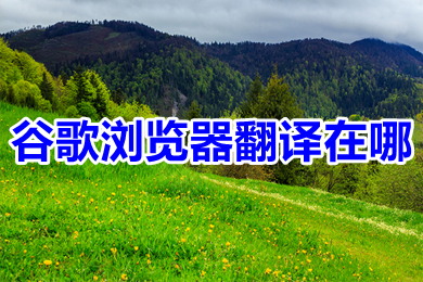 谷歌瀏覽器翻譯在哪 谷歌瀏覽器翻譯網(wǎng)頁功能在哪里設(shè)置