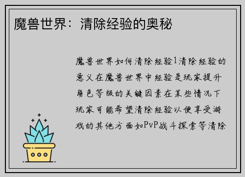 魔兽世界：清除经验的奥秘